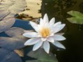 /album/fotogalerie-uvod/a2011-07-16-18-12-20-jpg/